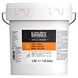 Liquitex Professional Vernice Lucida, Acrilico, Transparten, 3,78 Liter