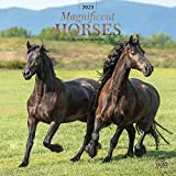 Magnificent Horses | Calendario mensile da parete quadrato 2023, 30 x 50 cm, copertina stampata e adesivi | StarGifts | ...