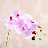MARJON FlowersSilk Real Touch farfalla orchidea fiori finti Phalaenopsis rami artificiali per casa, feste, matrimoni, multicolore