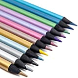 Matita Colorate Metalliche, Matite colorate per adulti e bambini,Adatto ai principianti nella pittura，12 Colori