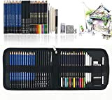 Matite Colorate Professionali da Disegno, 41PC Art set matite colorate con disegno strumento, Ideali per Artista Professionale e Principianti