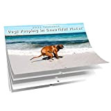 Mineatig Pooping Dogs Calendar 2023, Pooping Dogs Calendario 2023, divertente calendario per cani, calendario di Capodanno, regalo per amici, decorazione ...