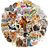 Mistree 50 Adesivi Animali Realistici, Adesivi Per Animali Da Foto Per I Bambini, Conosciando Il Mondo Degli Animali
