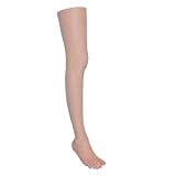 Modello a Mano Piede Modello Simulazione Femminile Modello Femminile Silicone Scarpe da insegnamento Puntelli Jade Foot Prothetic Foot Model Gamba ...