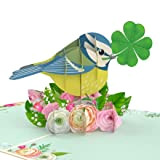 MOKIO® Biglietto Auguri Pop-Up – Uccello con Trifoglio e Fiori – Biglietto regalo 3D per un compleanno, esame o recupero, ...
