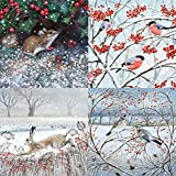 Museums & Galleries - 20 biglietti di auguri natalizi con scritta "Animali e bacche invernali", 20 biglietti, 5 ciascuno dei ...