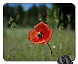 N\A Tappetino per Mouse - Poppy Flowers Red Poppy Nature Red Turkish Poppy