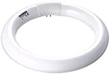 Neolab 3-1701 - Tubo luminoso ad anello per lampada con lente d'ingrandimento 3-1700, 22 W