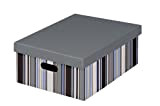 NIPS OFFICE 163148274 - Maxi scatola portaoggetti con coperchio, (L x P x A) 35,0 x 44,0 x 18,5 cm, ...
