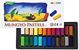 Non Toxic Soft Pastel Set of 24 Assorted Colors Square Chalk by Mungyo Pastel 24
