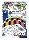 Noris Colour 185 - Astuccio di cartone doppio strato, 36 matite colorate, colori assortiti