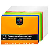 OfficeTree 12 x custodie portadocumenti A4 colorate con 240 etichette salvabuchi - 5 x custodie portadocumenti colorate - 7 x ...