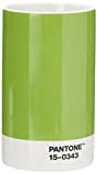 PANTONE Pencil Cup, Green 15-0343