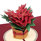 PaperCrush® - Biglietto di Natale pop-up "Stella di Natale" - Biglietto di Natale 3D per donne, biglietto regalo con poinsettia ...