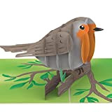 papercrush Biglietto pop-up con pettirossi – Biglietto di compleanno 3D con uccellino su ramo