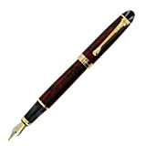 Penna stilografica Jinhao 450, con punta media 1 Flash Red