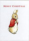 Peter Rabbit cartolina d'auguri buon natale