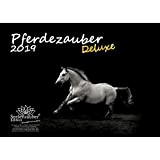 Pferdezauber Deluxe, DIN A4, calendario premium 2019, cavalli, equitazione, giumenta, stallone, puledro, set regalo con 1 biglietto di saluto e ...