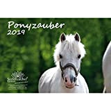 Pony magia · DIN A4 Calendario 2019 · Pony · · cavallo equitazione · puledro · · · Stallone cavalla · Set ...