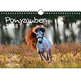 Ponyzauber - Calendario DIN A4, per pony e puledri, set regalo, contenuto: 1 calendario, 1 biglietto di Natale e 1 ...