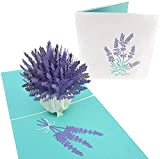 PopLife Cards Lavanda fiore bouquet madri giorno pop-up scheda per tutte le occasioni festa della mamma, buon compleanno, ottenere bene ...