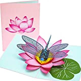 Poplife Dragonfly 3D Pop Up biglietto d' auguri per tutte le occasioni – amata, giardiniere, floreale Lover – per compleanno, ...