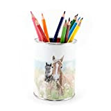 Portapenne a forma di cavallo, con 12 matite colorate triangolari, portapenne, organizer da scrivania per bambini