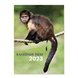 print lab, Calendario 2022 con animali che caccano - Calendario da parete DIN A4, divertente regalo per uomini