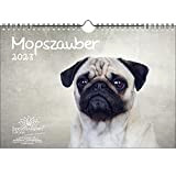 Pug Magic - Calendario DIN A4 per cani e cuccioli 2023 - Seelenzauber, multicolore