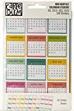 PUKKA PADS USA (CARPE DIEM) Carpe Calendario STKRS Data MNTH, Mensile, Luglio 2019-Dicembre 2020, Taglia unica
