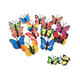 Puntine a Farfalla, 30 Punti Puntine da Disegno a Forma di Farfalla Puntine da Disegno Decorative Creative per foto, Bacheca ...