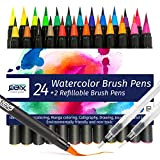 QBIX Brush Pen Set di 24 – Set di pittura ad acquerello premium con 2 penne vuote e 16 fogli ...