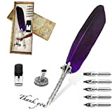 Quill Pen Set,Penna Della Piuma di Calligrafia,penna d'oca con 5 pennini, portapenne,inchiostro nero e Scatola Regalo.