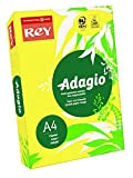 REY® ADAGIO, carta riprografica, giallo limone, 80 g, A4, PEFC™, risma da 500 fogli