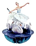 Santoro PS064 - Biglietto d'auguri 3D, motivo: ballerina che piroetta su lago dei cigni