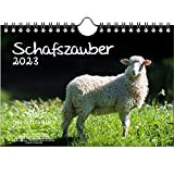 Schafsmagber - Calendario da parete DIN A5, per pecore e agnellini 2023, set regalo contenuto: 1 calendario, 1 biglietto di ...