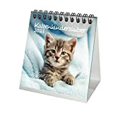 Seelenzauber Calendario da tavolo per gatti 2023, formato 10 cm x 10 cm, per gatti e gatti