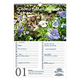 Seelenzauber GP18-3W-00007-D-0 Agenda di compleanno, calendario di compleanno, gatto magico, DIN A3, calendario per gatti e gatti
