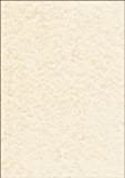 SIGEL DP605 Carta da Lettere / Carta strutturata, pergamena champagne, A4, 90 g, 100 fogli