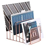 Simmer Stone Incline File Sorter, 7 Slot Portariviste per Lettere, Documento, Cartella e Libri, Organizer in Metallo Desktop Rack per ...