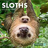Sloths 2021 - Calendario da parete