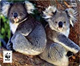 SPEEDLINK Terra WWF - Tappetino per il mouse, con base morbida per tutti i mouse, motivo Koala