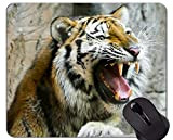 Tappetino per Mouse Tiger Painting Background, Tappetino per Mouse Animal Office