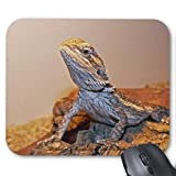 Tema da gioco Yanteng Mousepad Bild Iguana Dragon, tappetino per mouse cucito con precisione.
