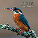 The Gifted Stationery Calendario mensile 2023 - Uccelli. 30,5 x 30,5 cm, calendario 16 mesi per la famiglia casa e ...