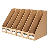 TIANSE 6 Pack File Magazine Organizer Box bancari per archiviazione desktop in Office Home