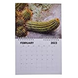 ulapithi Calendario da Parete 2023, Calendario Divertente da gennaio 2023 a Dicembre 2023, Elefante Divertente e Regalo Segreto di bavaglio ...