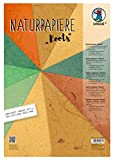 Ursus-10 Fogli Naturale Conchiglia Mikado, Carta di Banana per creazioni Creative, Multicolore, 61610005