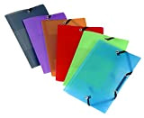 Viquel 097796 – 49 – Set di 25 cartelline in plastica formato tasca 12 x 16 cm colori assortiti