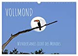 Vollmond: Wundersames Licht des Mondes (Wandkalender 2023 DIN A3 quer), Calvendo Monatskalender